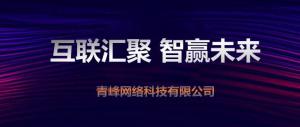“互聯(lián)聚匯，智贏未來” 2019焦作青峰全網(wǎng)合作峰會***成功！